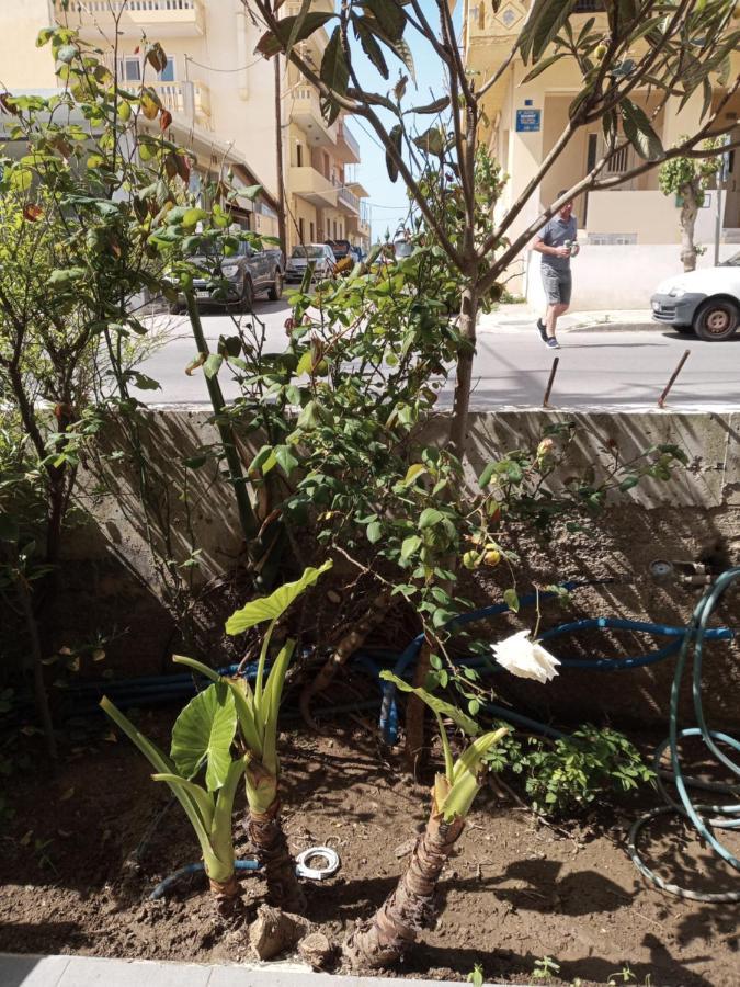 Ferienwohnung Hrysanthl Chania  Exterior foto